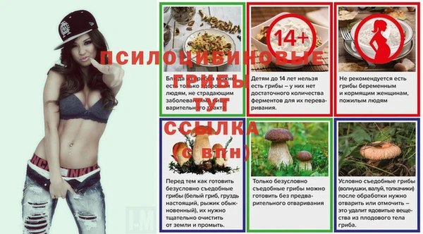 бошки Абдулино