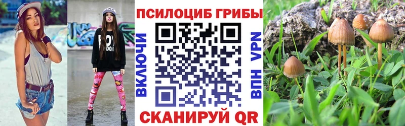 как найти закладки  Магадан  Галлюциногенные грибы Cubensis 